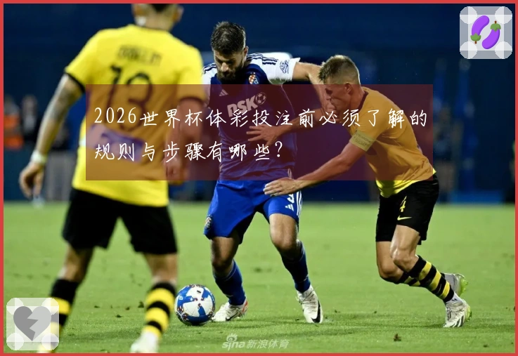 2026世界杯体彩投注前必须了解的规则与步骤有哪些？