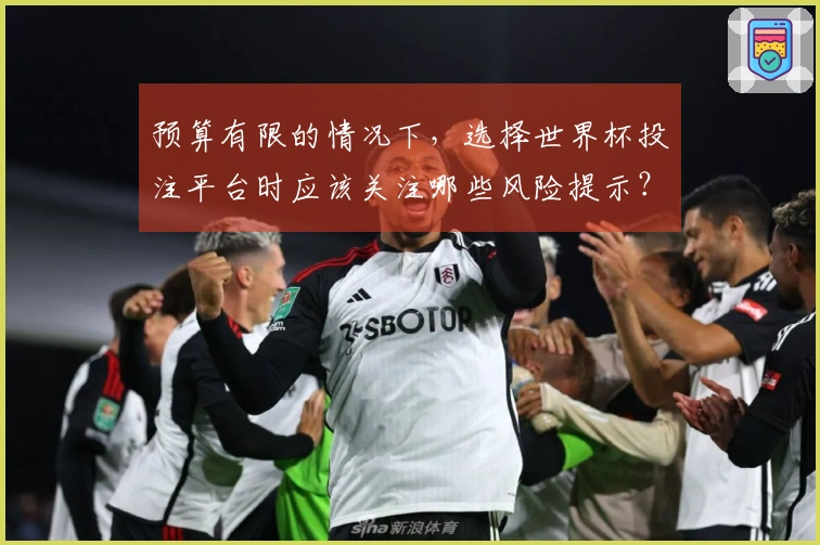 预算有限的情况下，选择世界杯投注平台时应该关注哪些风险提示？