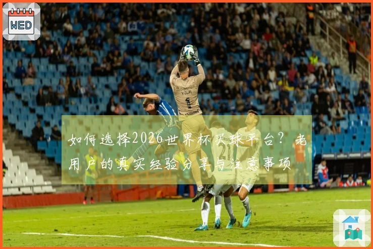 如何选择2026世界杯买球平台？老用户的真实经验分享与注意事项