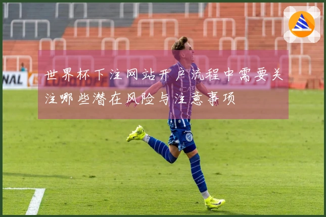 世界杯下注网站开户流程中需要关注哪些潜在风险与注意事项