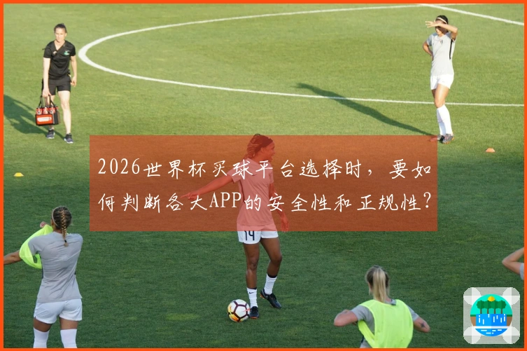 2026世界杯买球平台选择时，要如何判断各大APP的安全性和正规性？