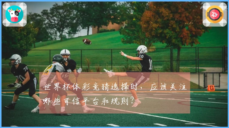 世界杯体彩竞猜选择时，应该关注哪些可信平台和规则？