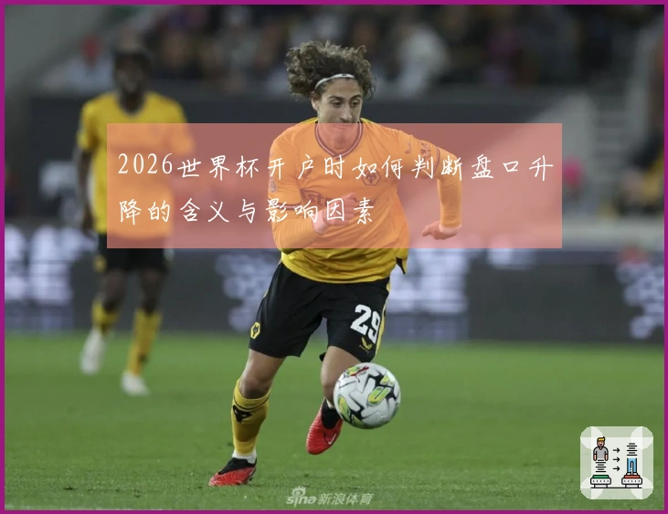 2026世界杯开户时如何判断盘口升降的含义与影响因素