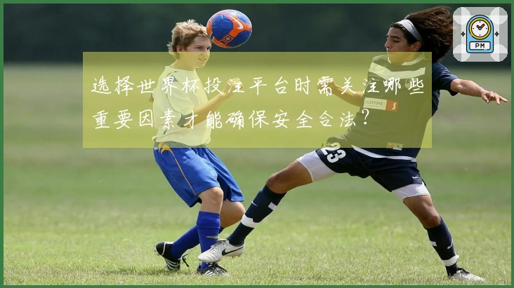 选择世界杯投注平台时需关注哪些重要因素才能确保安全合法？