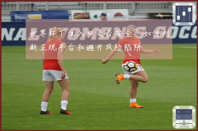 世界杯下注入口是否安全？如何判断正规平台和避开风险陷阱