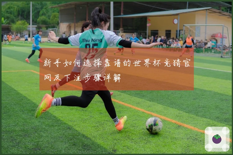 新手如何选择靠谱的世界杯竞猜官网及下注步骤详解