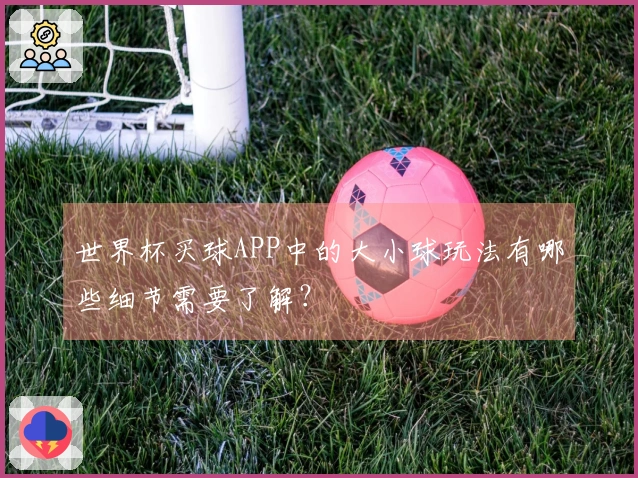 世界杯买球APP中的大小球玩法有哪些细节需要了解？