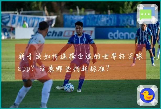 新手该如何选择合适的世界杯买球app？注意哪些判断标准？