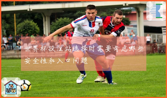 世界杯投注站选择时需要考虑哪些安全性和入口问题