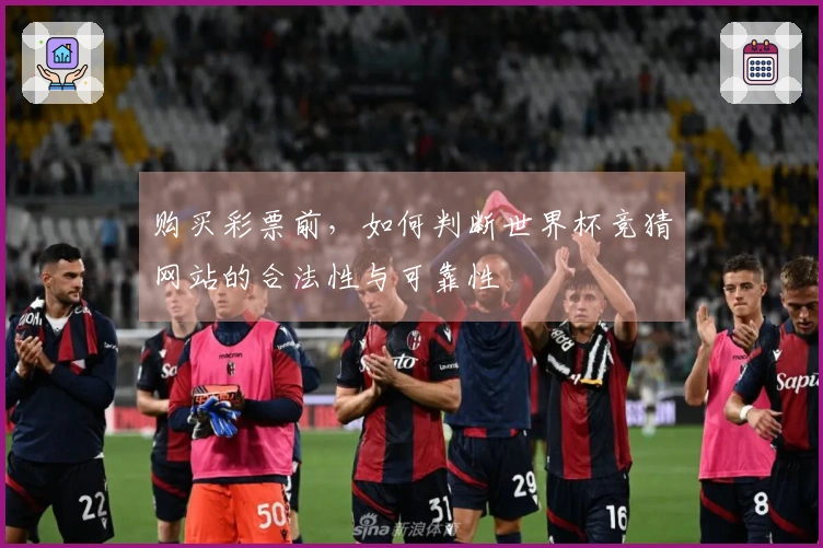 购买彩票前，如何判断世界杯竞猜网站的合法性与可靠性