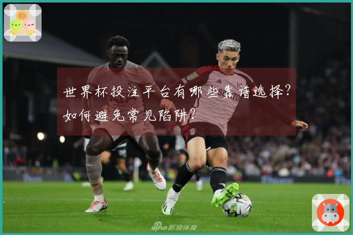 世界杯投注平台有哪些靠谱选择？如何避免常见陷阱？
