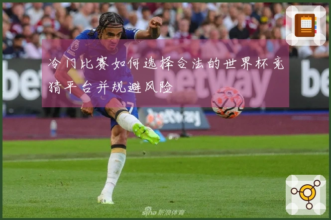冷门比赛如何选择合法的世界杯竞猜平台并规避风险