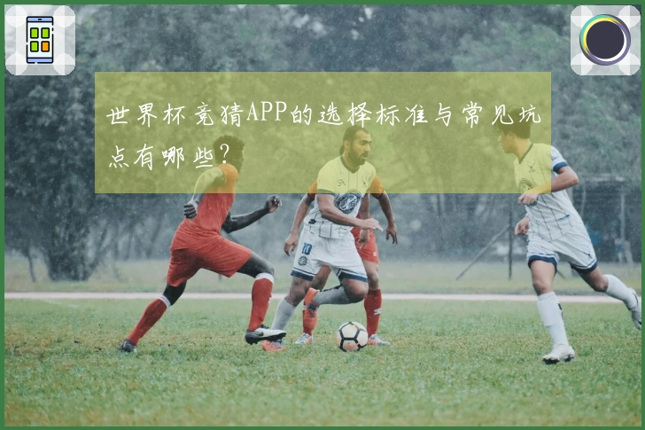 世界杯竞猜APP的选择标准与常见坑点有哪些？