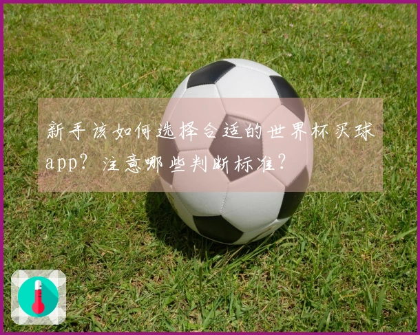 新手该如何选择合适的世界杯买球app？注意哪些判断标准？