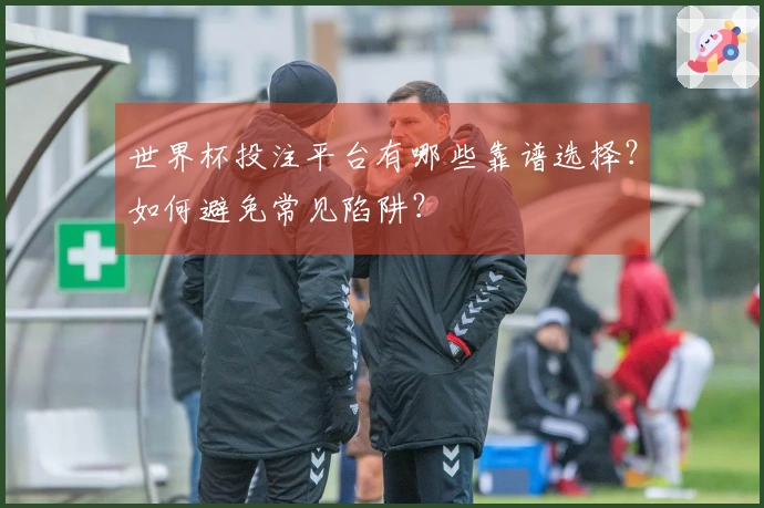 世界杯投注平台有哪些靠谱选择？如何避免常见陷阱？