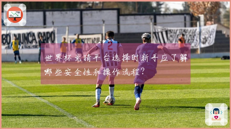 世界杯竞猜平台选择时新手应了解哪些安全性和操作流程？