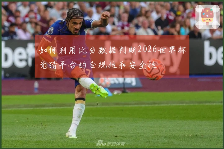 如何利用比分数据判断2026世界杯竞猜平台的合规性和安全性