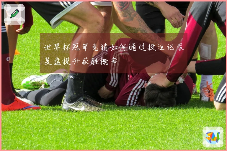 世界杯冠军竞猜如何通过投注记录复盘提升获胜概率