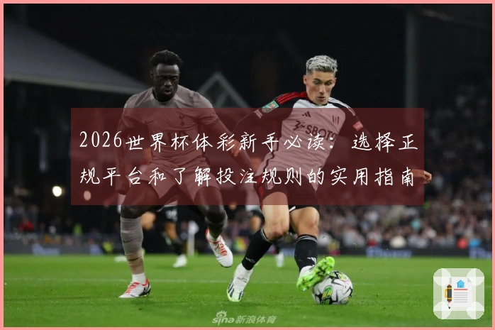 2026世界杯体彩新手必读：选择正规平台和了解投注规则的实用指南