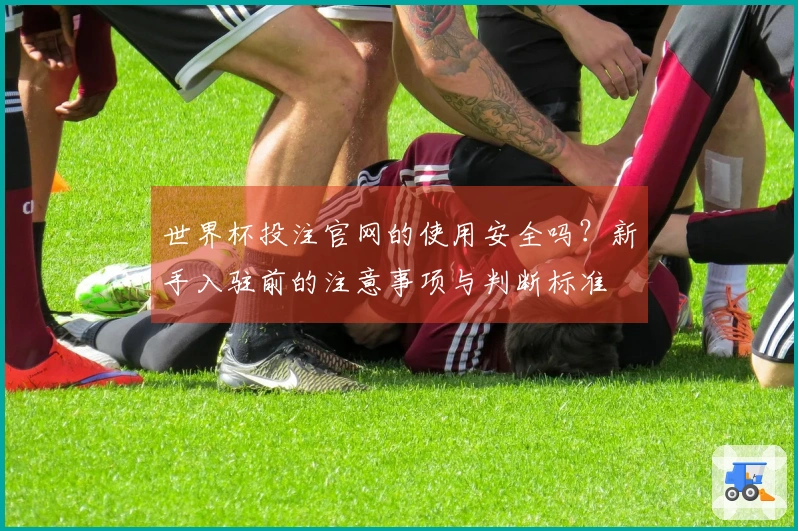 世界杯投注官网的使用安全吗？新手入驻前的注意事项与判断标准