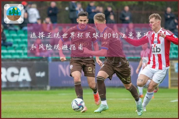 选择正规世界杯买球app的注意事项和风险规避指南