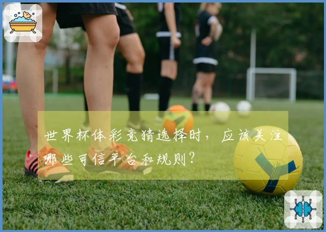 世界杯体彩竞猜选择时，应该关注哪些可信平台和规则？