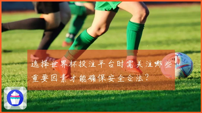 选择世界杯投注平台时需关注哪些重要因素才能确保安全合法？